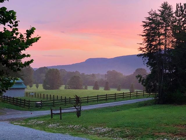 Antler Drive Rising Fawn 7.20.2020 Denise Boucher Sullivan